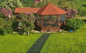 Nona Highland Home Moieciu - Pet Friendly Total